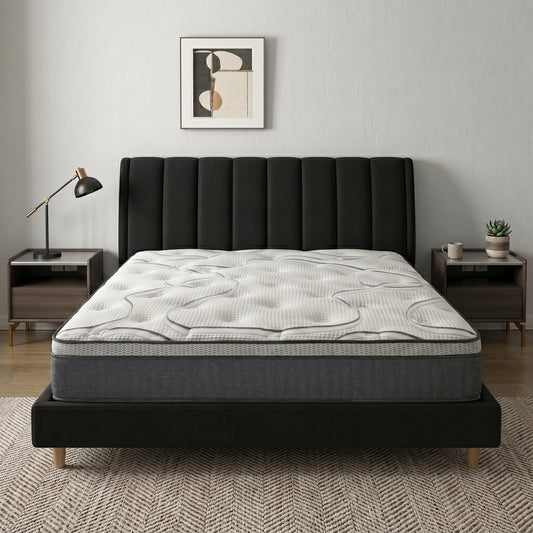 Dream Plush Sleep Bundle